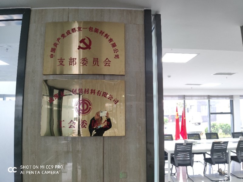 热烈祝贺BG大游集团成都分公司党支部在2020年3月11日授牌建设，，，，，，，，支部书记曹云(行政部司理)